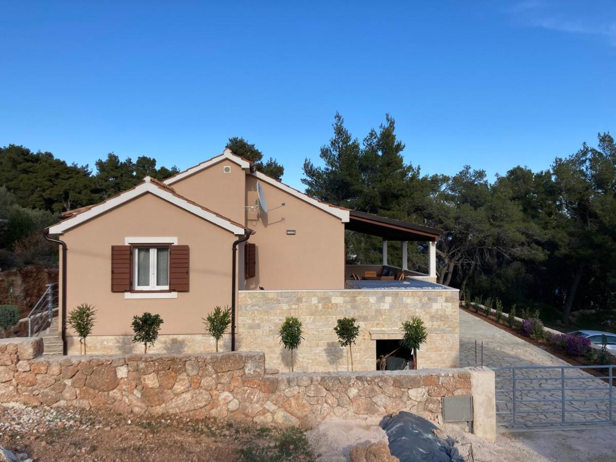 Tara House * Zavala